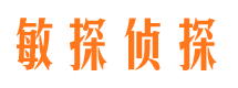 富民市调查公司